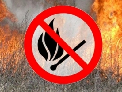 Особый противопожарный режим в северных районах Иркутской области продлили до 15 августа