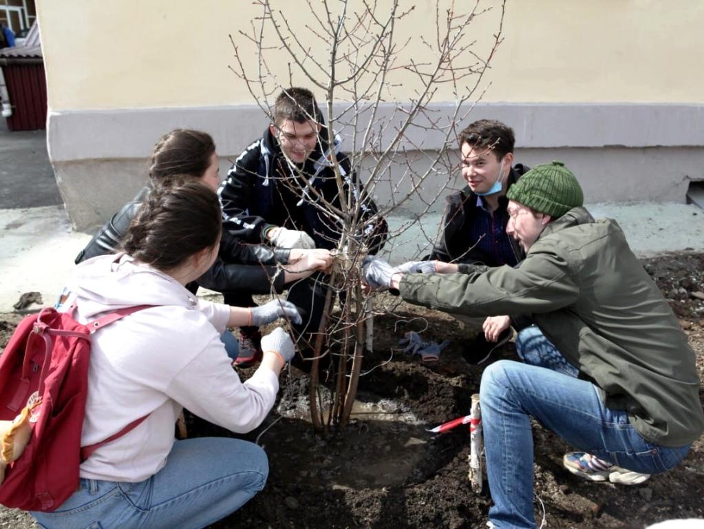 В рамках акции «Мой зеленый Иркутск» высадят более 1500 деревьев