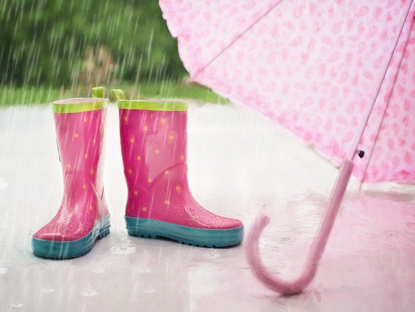 rain pink pixabay