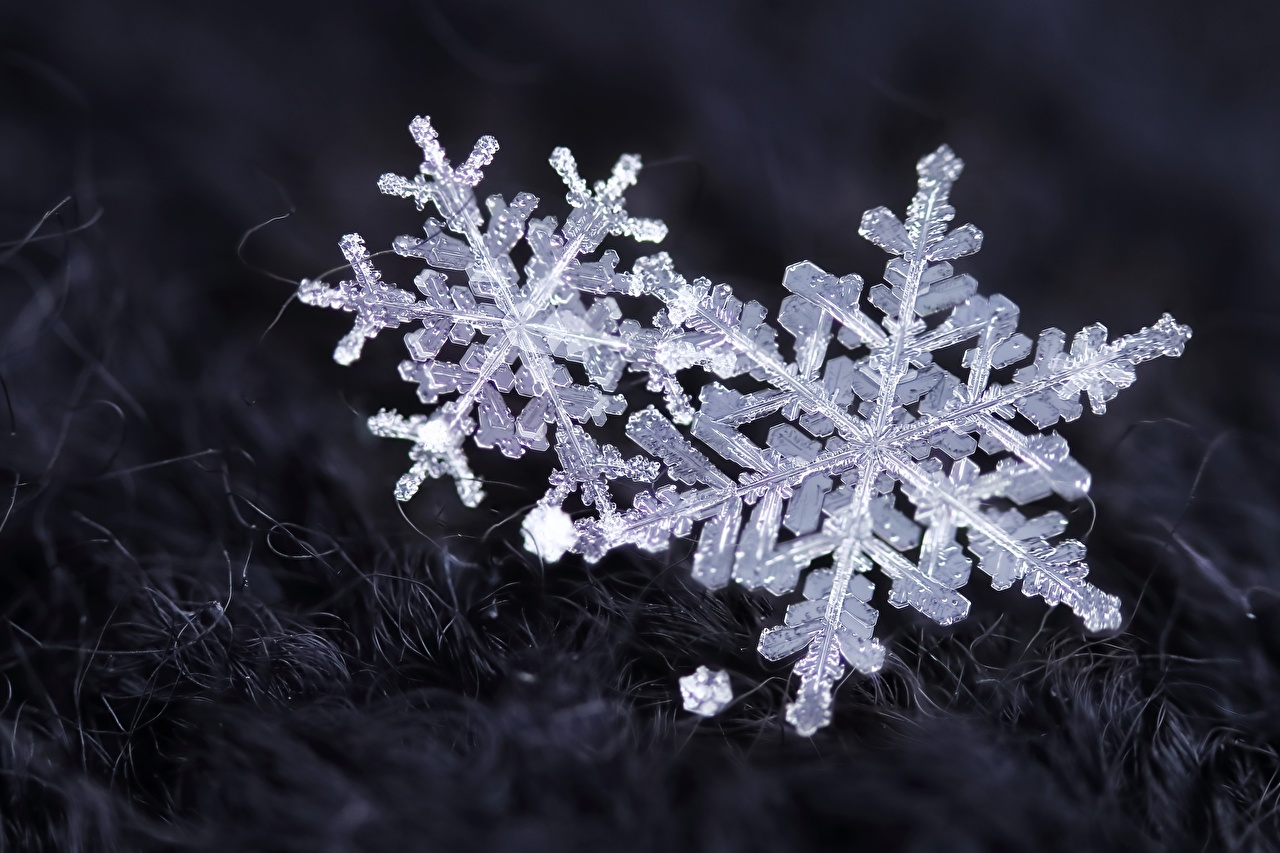 Closeup Snowflakes 530981 1280x853