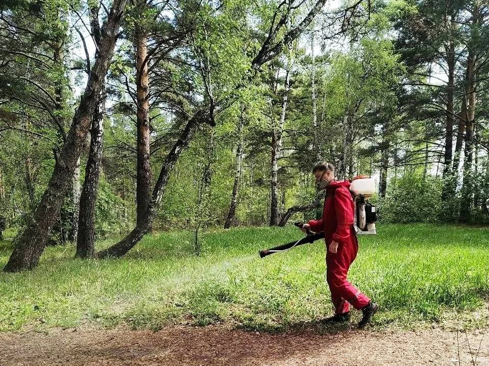 protivoklesh ai