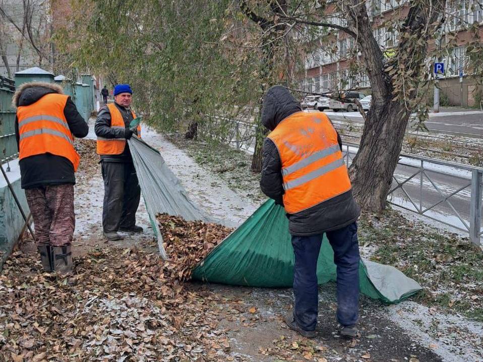 uborka listvy ai copy copy copy copy copy copy copy copy copy copy copy copy