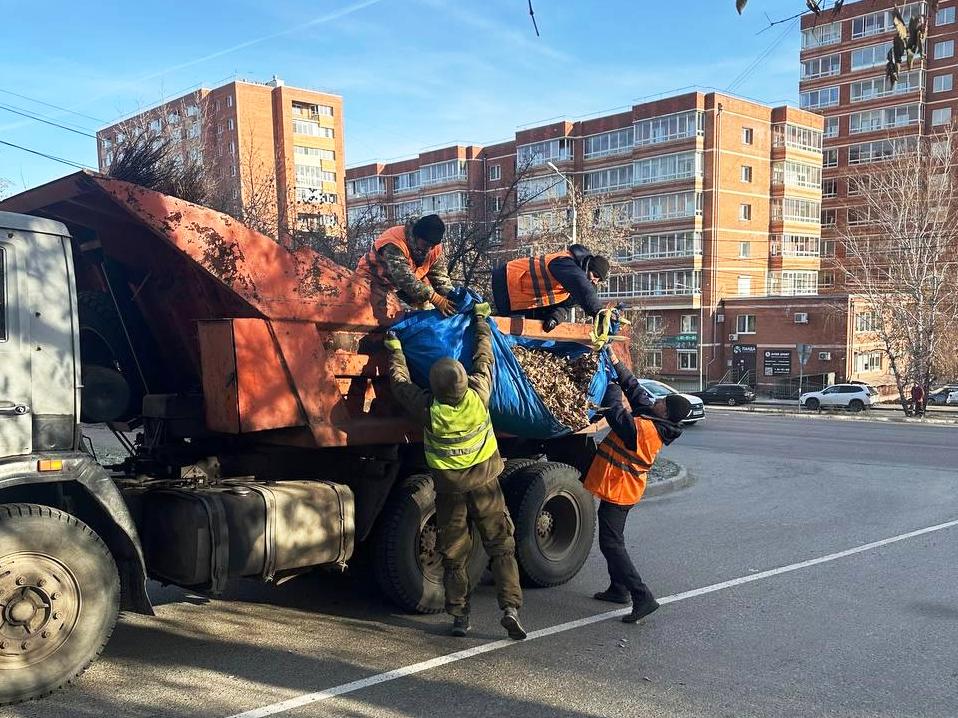 uborka listvy ai copy copy copy copy copy copy copy copy copy copy copy copy copy copy