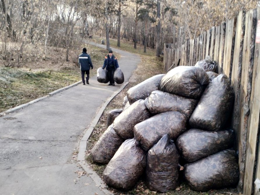 Более ста человек ежедневно убирают общественные пространства в Иркутске