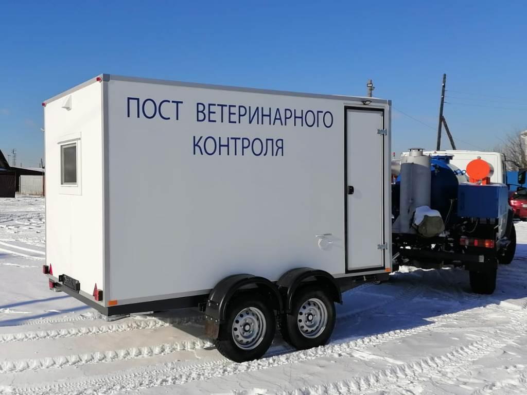 Жителей Иркутска предупреждают о выявлении в регионе очагов узелкового дерматита у крупного рогатого скота