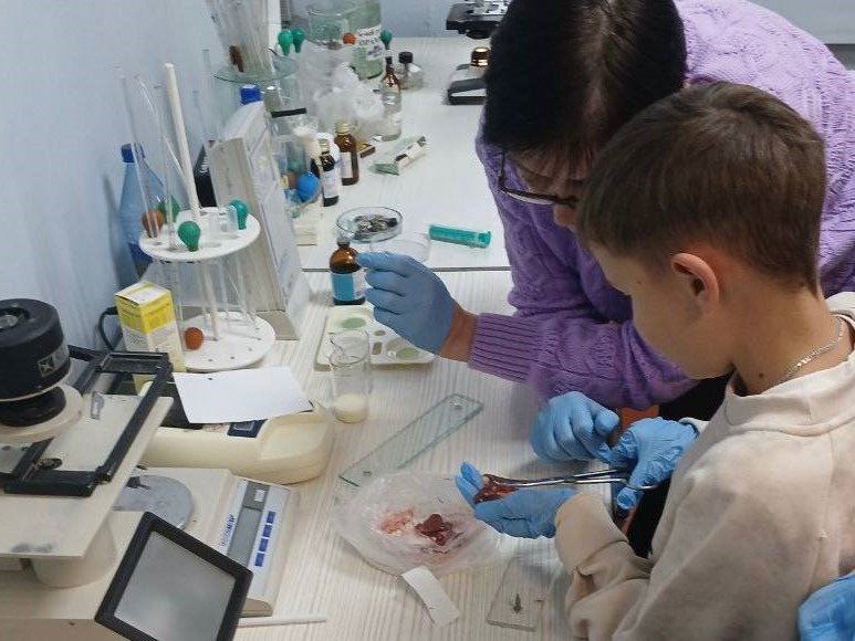 vetstanciya urk dobroty io