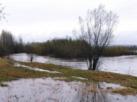 povyshenie urovnya biryusа mchs