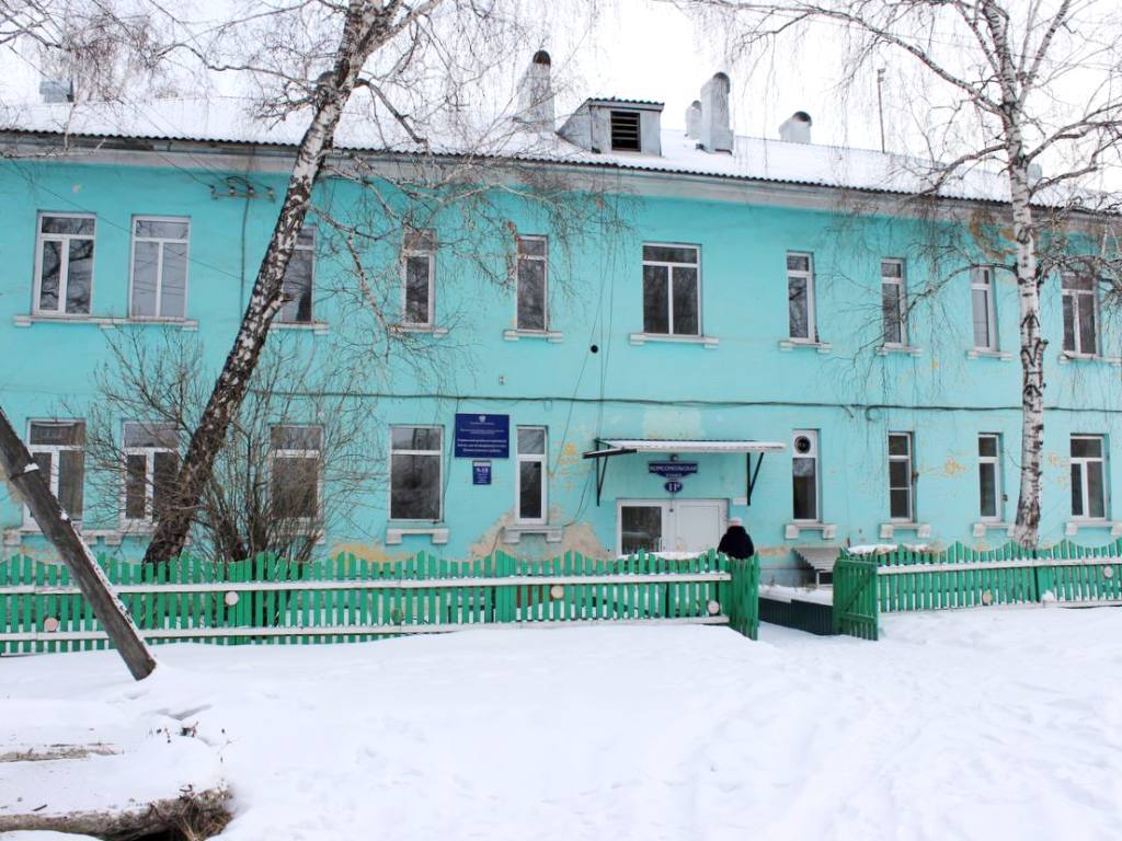 biblioteka nizhneudinsk io