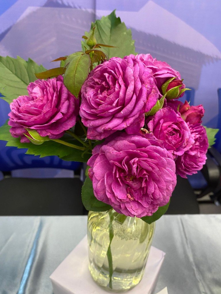 В Иркутске открылась выставка «Розы и лилейники»