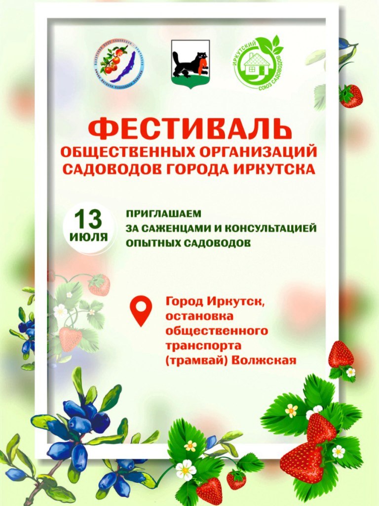 Фестиваль жимолости и земляники пройдет в Иркутске