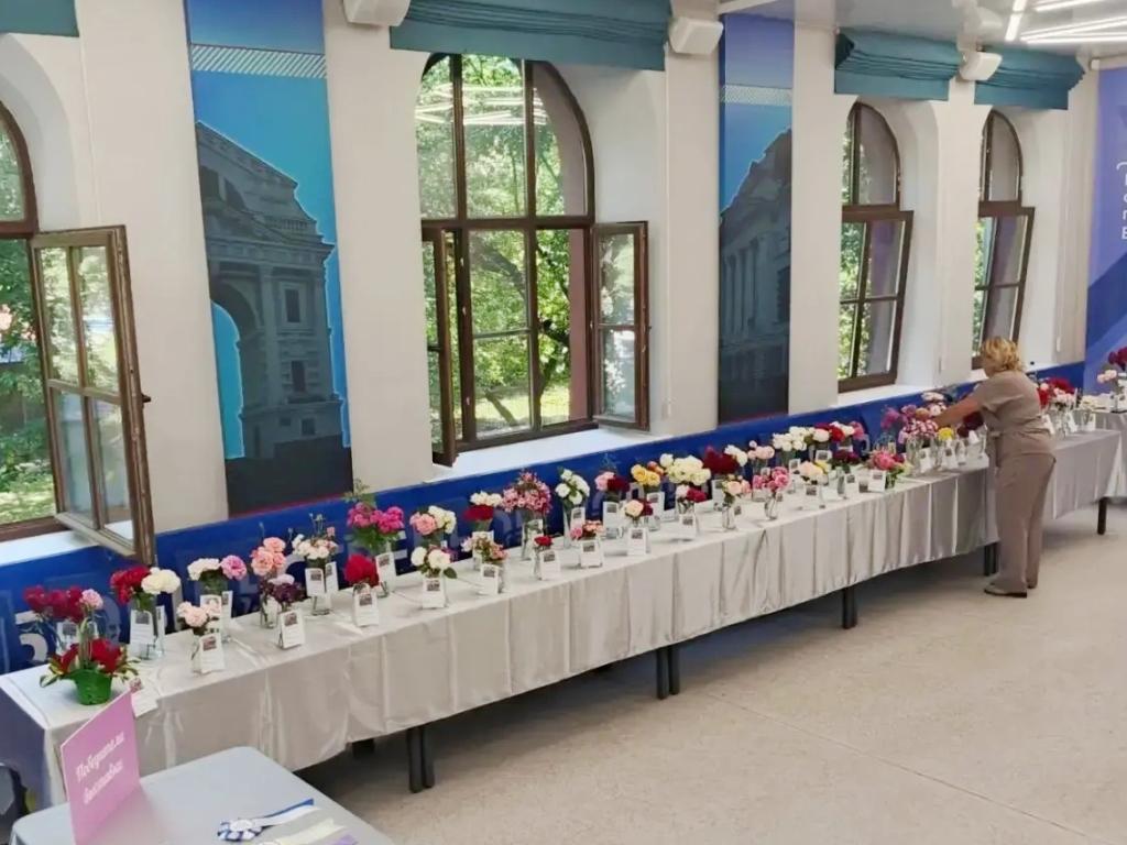 rozovaya rapsodia ai