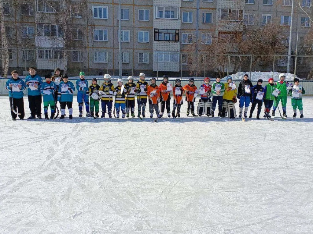 mini hokkey dvorovy ai