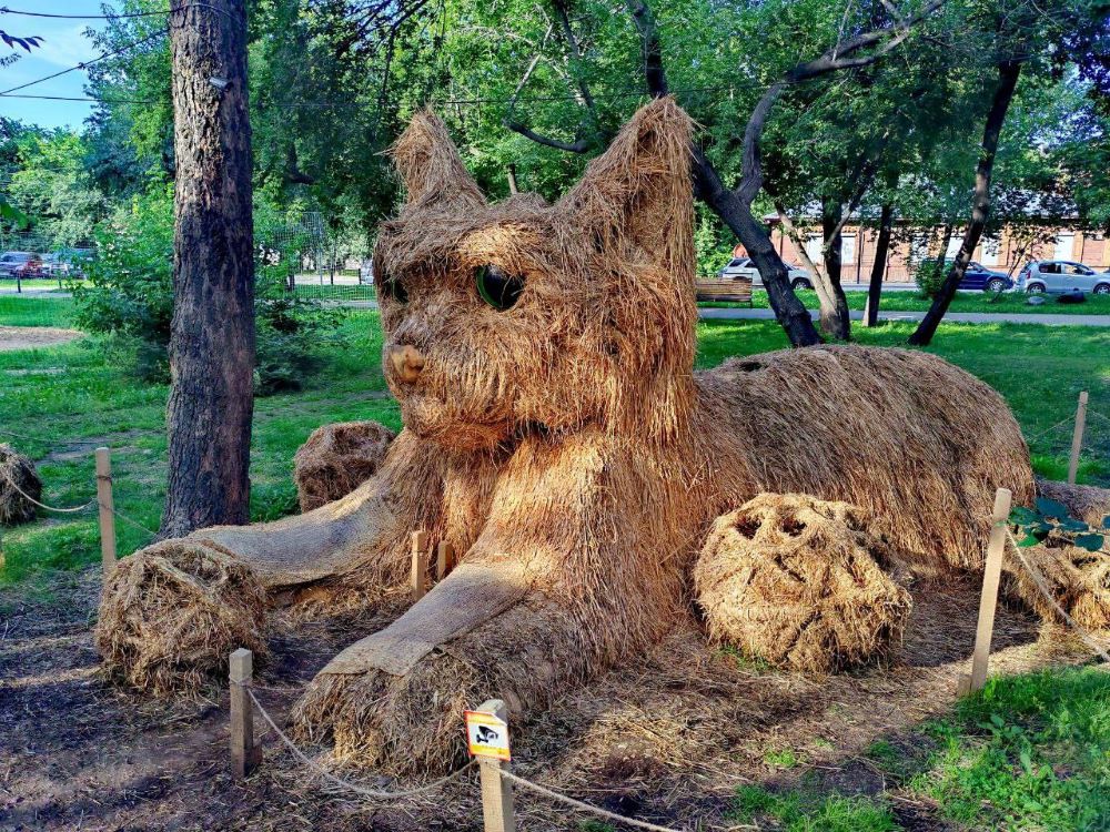 irkutsk festival somennyh skulptur kot nia