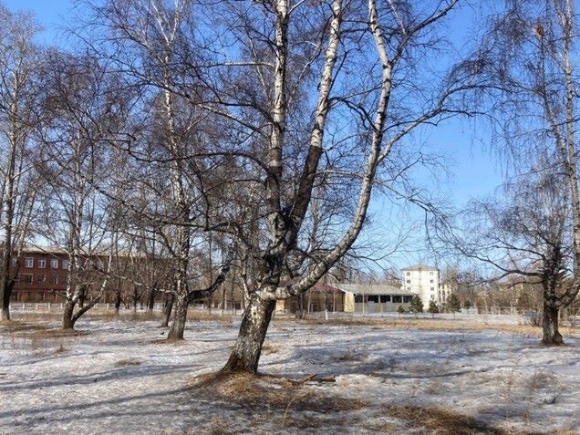 Жители Усолья-Сибирского решают, какой сквер будет благоустроен в городе в следующем году