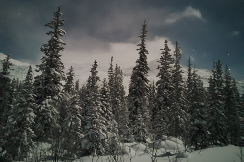 Foto Neklyaeva Artemiya