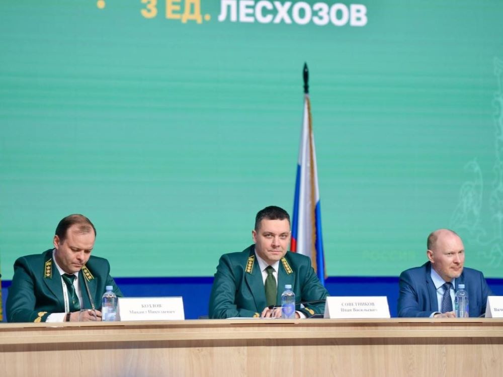 Глава Рослесхоза: Иркутская область показывает положительную динамику в борьбе с лесными пожарами