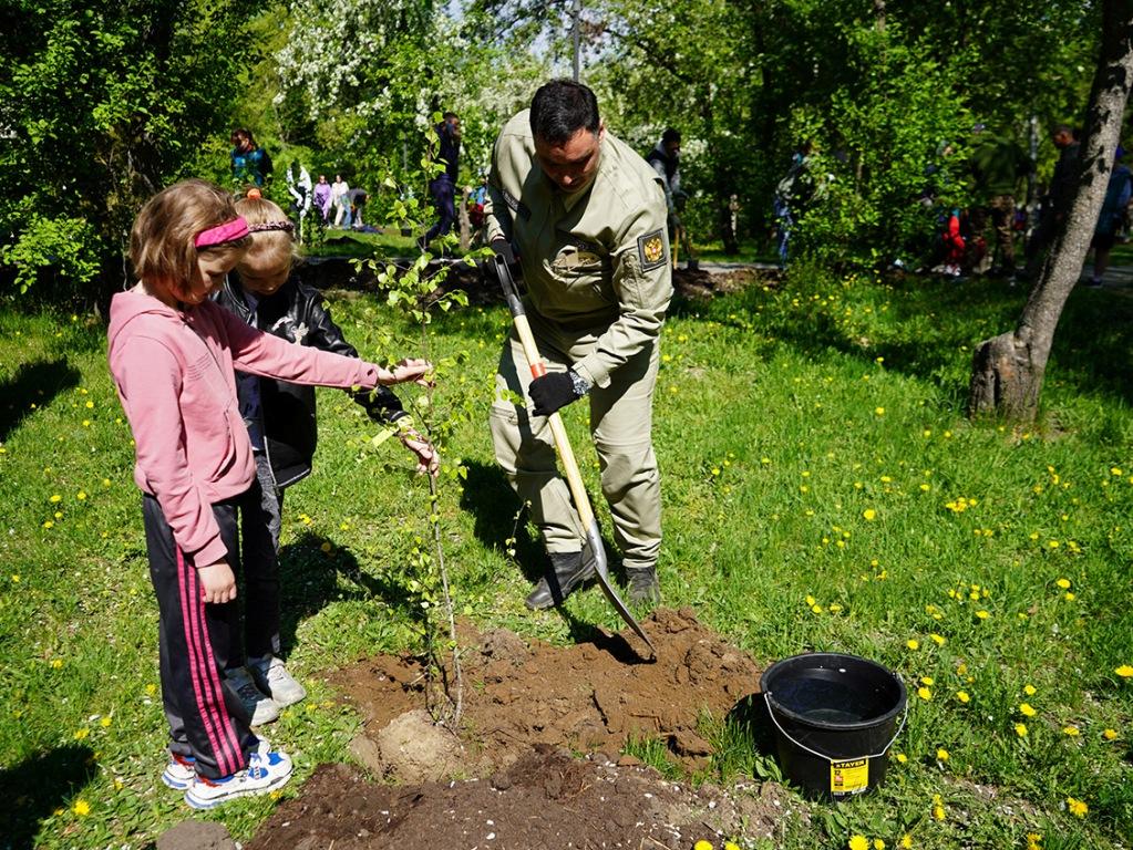 bolotov posadki ai