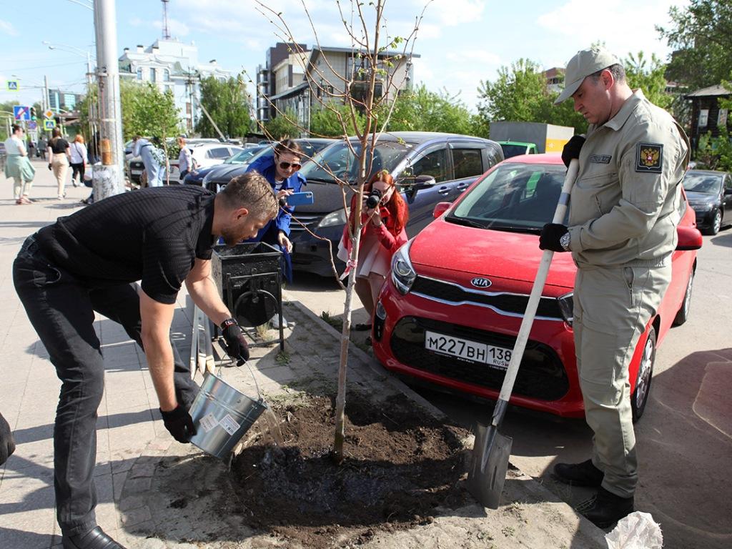 bolotov stekachev posadki ai