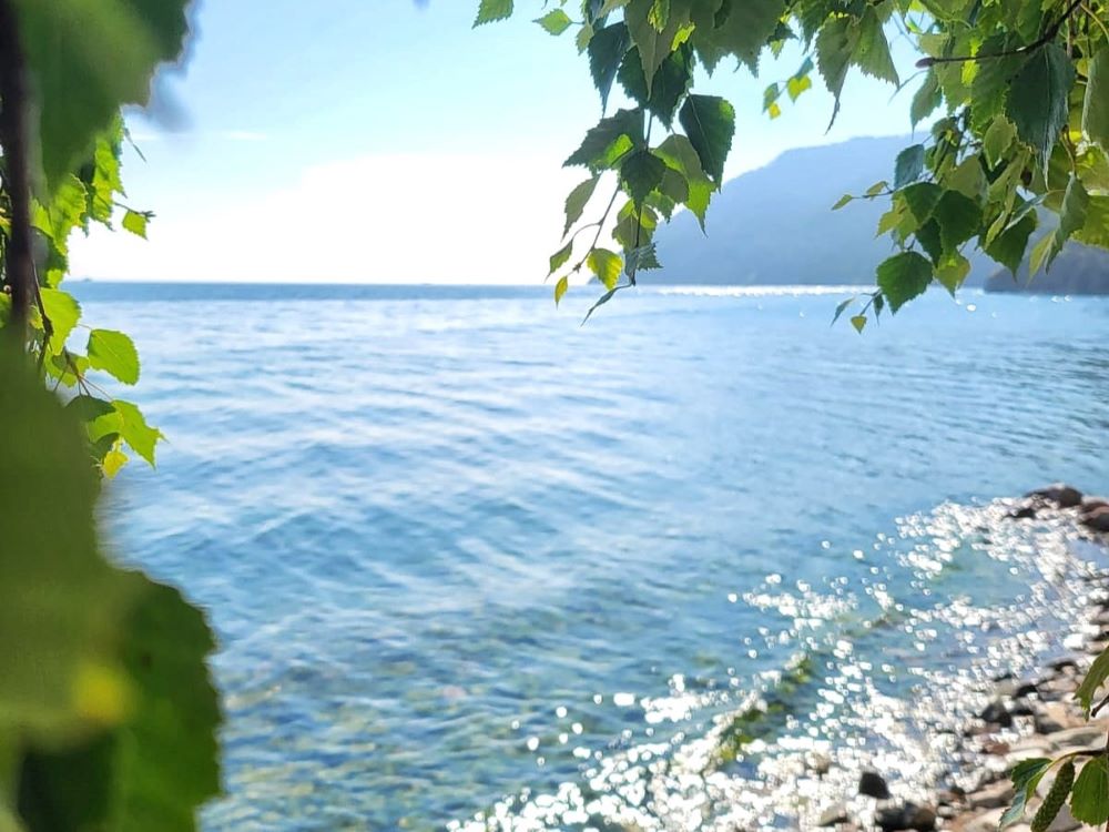leto baikal nia