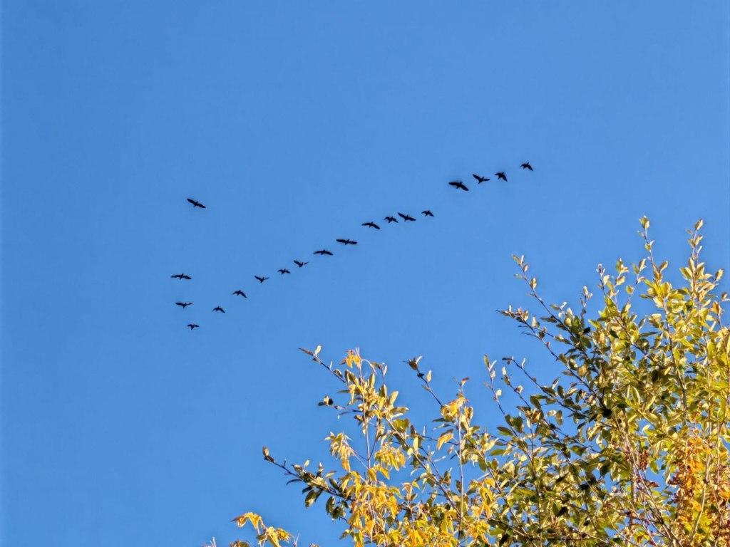 osen sentyabr solnechno nia