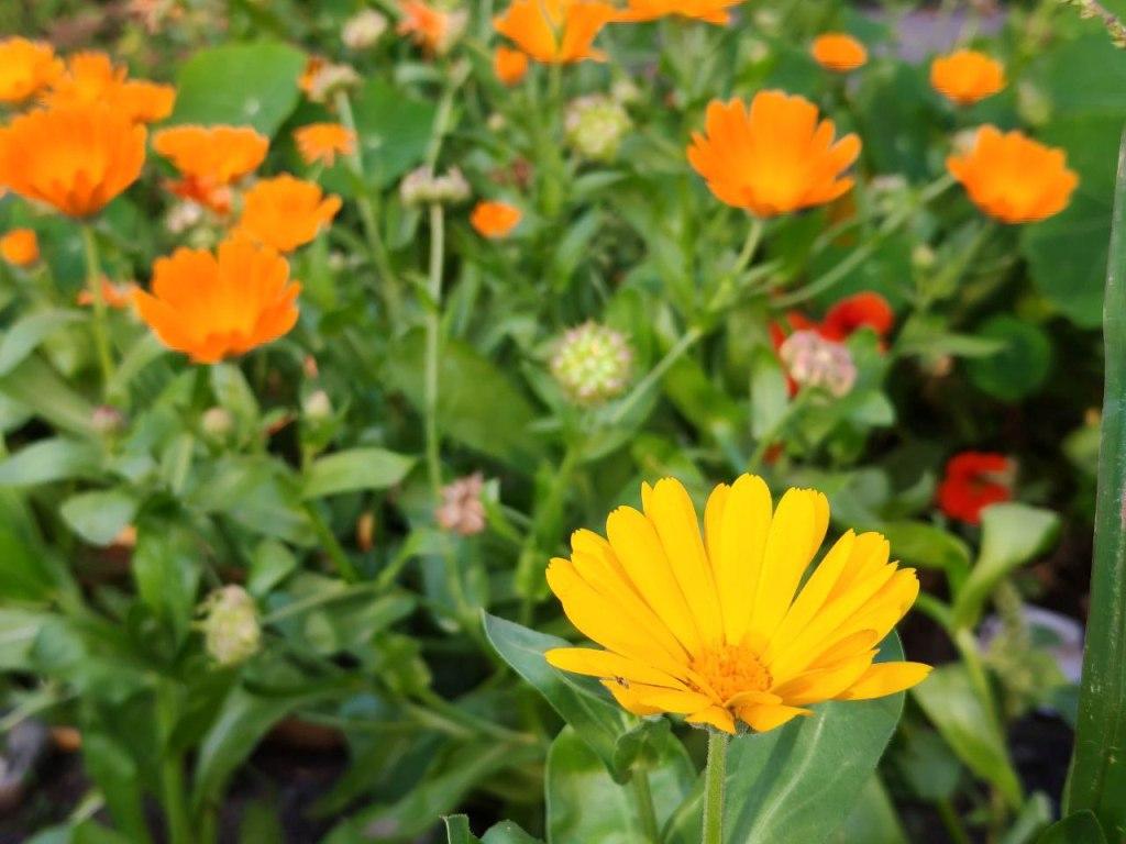 osen sentyabr teplo nia